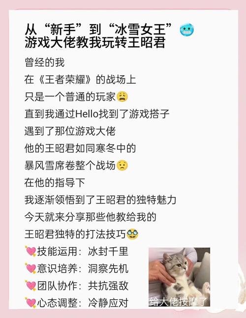 王者荣耀大佬暴揍新手攻略-打爆王者