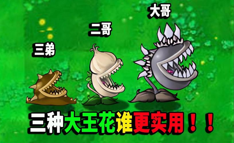 植物大战僵尸大王花,植物大战僵尸大王花测评-第4张图片-屿企游戏网 植物大战僵尸大王花,植物大战僵尸大王花测评-第4张图片-屿企游戏网