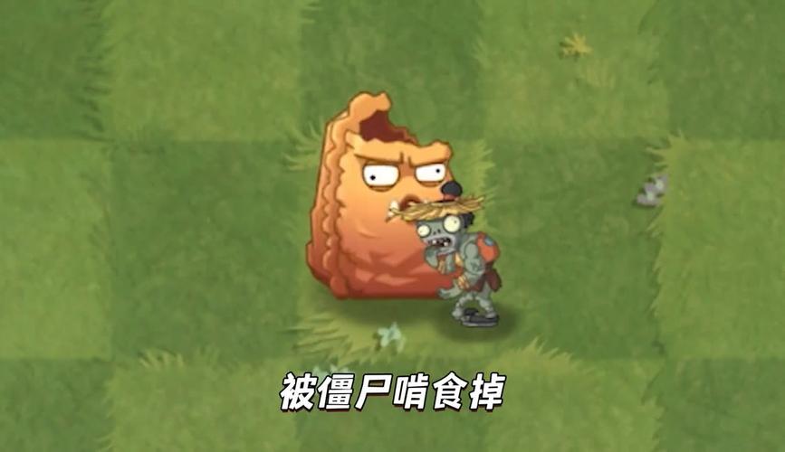 植物大战僵尸坚果墙-植物大战僵尸坚果墙为什么叫朗朗-第1张图片-屿企游戏网 植物大战僵尸坚果墙-植物大战僵尸坚果墙为什么叫朗朗-第1张图片-屿企游戏网