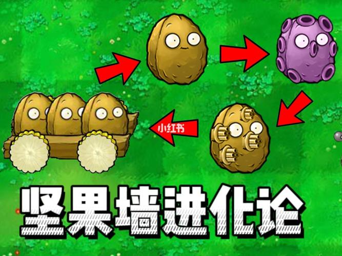 植物大战僵尸坚果墙-植物大战僵尸坚果墙为什么叫朗朗-第5张图片-屿企游戏网 植物大战僵尸坚果墙-植物大战僵尸坚果墙为什么叫朗朗-第5张图片-屿企游戏网