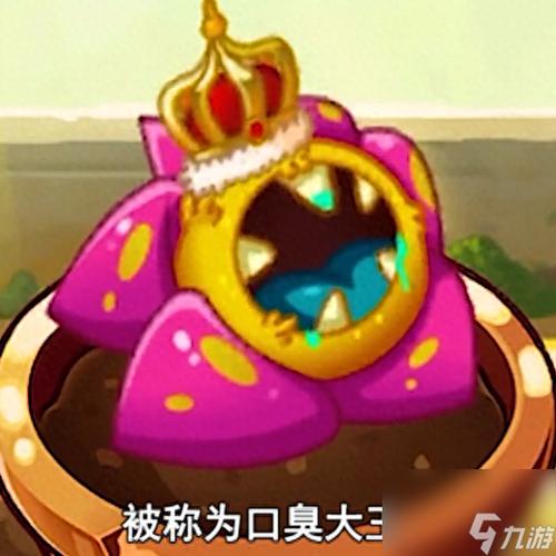 植物大战僵尸2原始大王花_植物大战僵尸2原始大王花豌豆-第4张图片-屿企游戏网