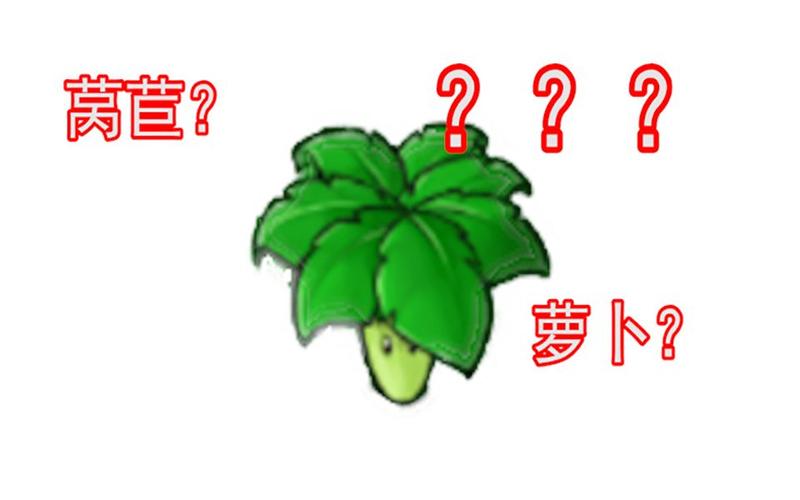 植物大战僵尸保护植物_植物大战僵尸保护植物的植物