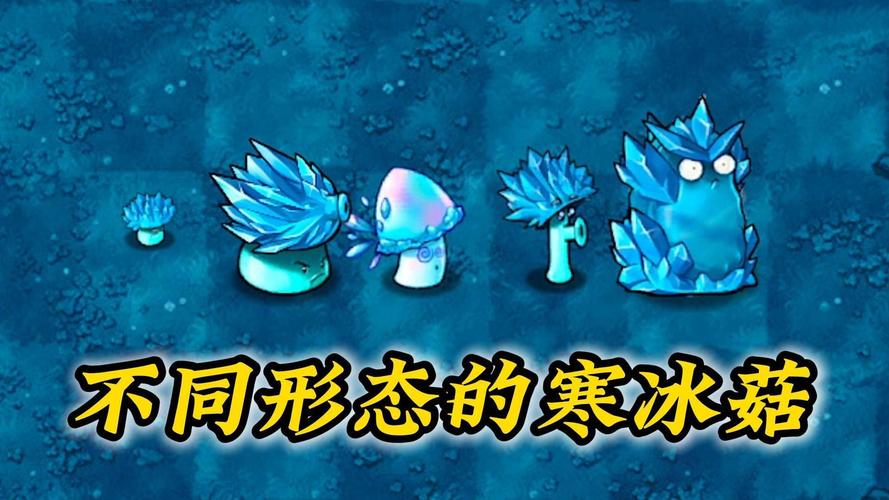 植物大战僵尸2寒冰菇视频,植物大战僵尸二寒冰菇怎样免费获得-第2张图片-屿企游戏网 植物大战僵尸2寒冰菇视频,植物大战僵尸二寒冰菇怎样免费获得-第2张图片-屿企游戏网