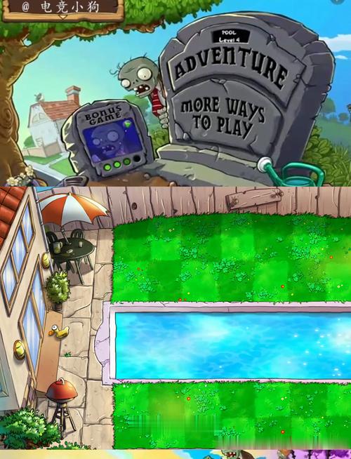 植物大战僵尸不显示植物-植物大战僵尸为什么没有字-第4张图片-屿企游戏网 植物大战僵尸不显示植物-植物大战僵尸为什么没有字-第4张图片-屿企游戏网