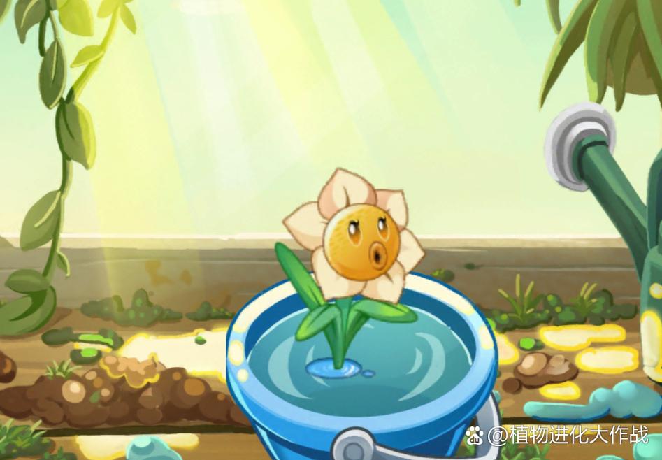 植物大战僵尸ol植物进化-植物大战僵尸ol进化表-第4张图片-屿企游戏网