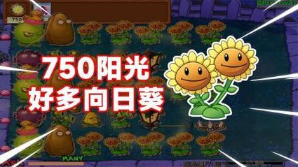 植物大战僵尸双头向日葵,植物大战僵尸双头向日葵多少阳光-第3张图片-屿企游戏网 植物大战僵尸双头向日葵,植物大战僵尸双头向日葵多少阳光-第3张图片-屿企游戏网