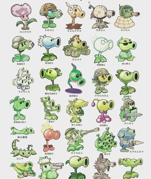 植物大战僵尸1植物大全，植物大战僵尸植物大全简笔画-第6张图片-屿企游戏网