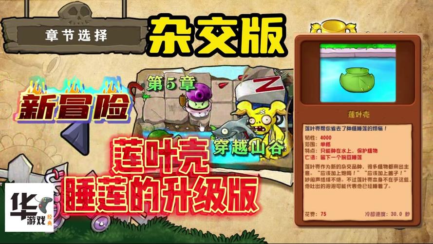 植物大战僵尸5-10，植物大战僵尸510僵王博士的复仇-第3张图片-屿企游戏网