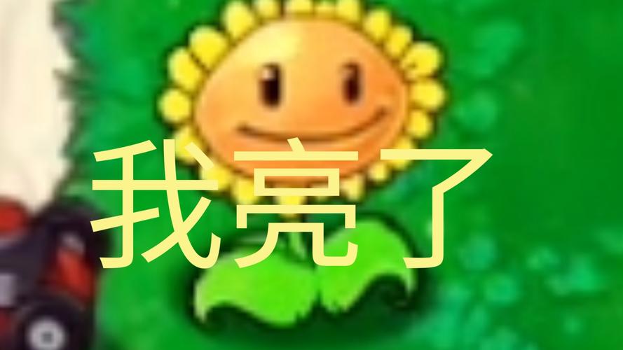植物大战僵尸向日葵,植物大战僵尸向日葵表情包-第5张图片-屿企游戏网 植物大战僵尸向日葵,植物大战僵尸向日葵表情包-第5张图片-屿企游戏网