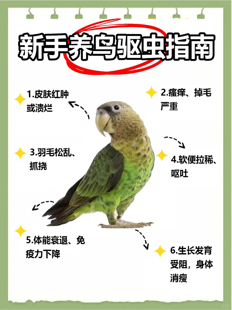 王者荣耀鸟人攻略_王者荣耀鸟人皮肤什么时候出-第2张图片-屿企游戏网 王者荣耀鸟人攻略_王者荣耀鸟人皮肤什么时候出-第2张图片-屿企游戏网