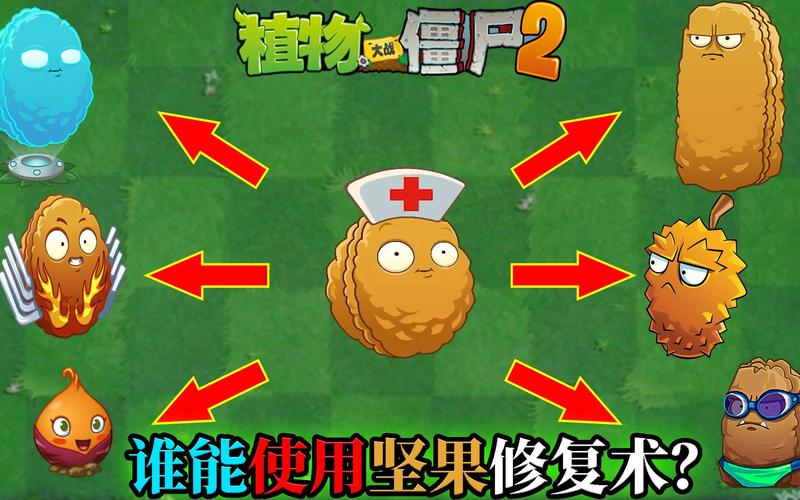 植物大战僵尸里的坚果-植物大战僵尸中的坚果-第5张图片-屿企游戏网