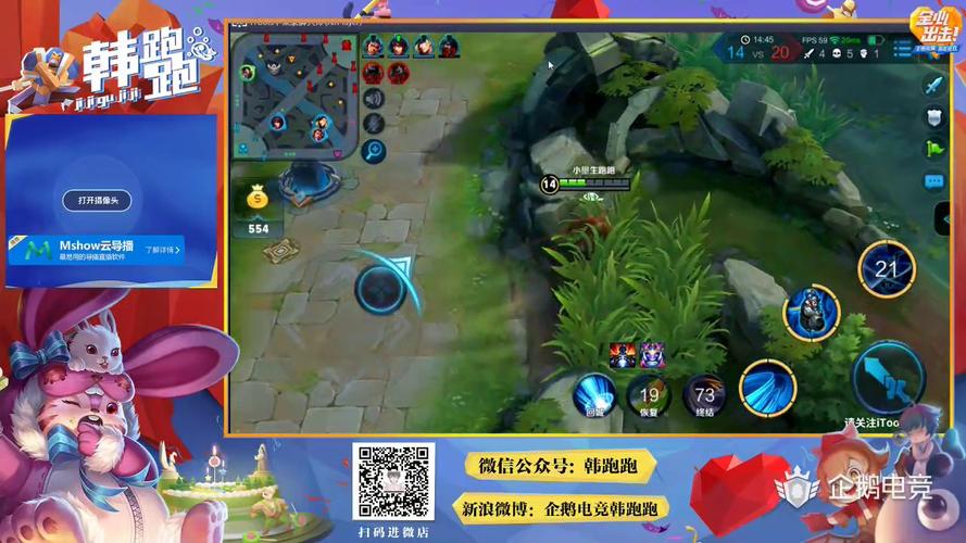 王者荣耀企鹅攻略，王者荣耀企鹅标志怎么获得-第5张图片-屿企游戏网