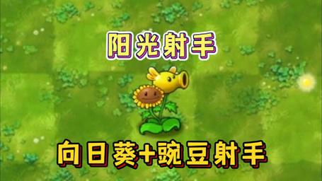 植物大战僵尸2无限挑战攻略-植物大战僵尸2挑战无限次数-第3张图片-屿企游戏网