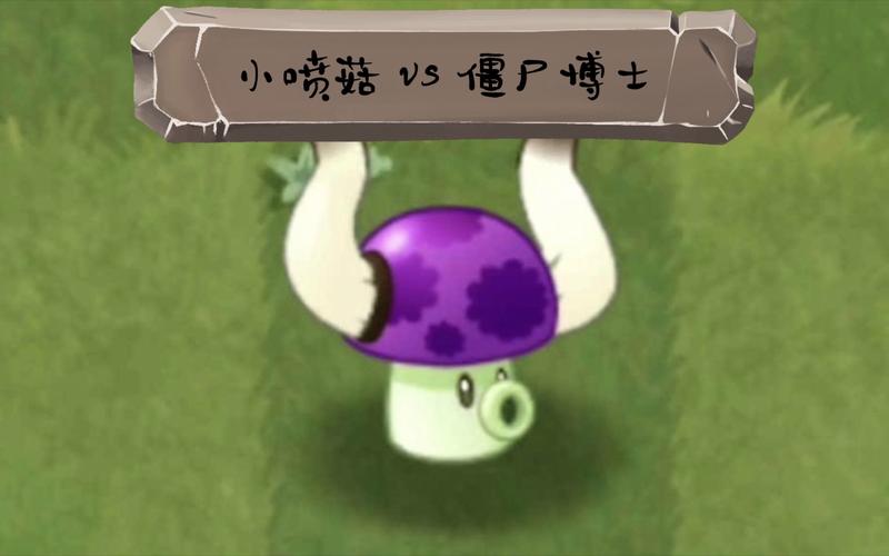 植物大战僵尸小喷菇，植物大战僵尸小喷菇的作用-第2张图片-屿企游戏网