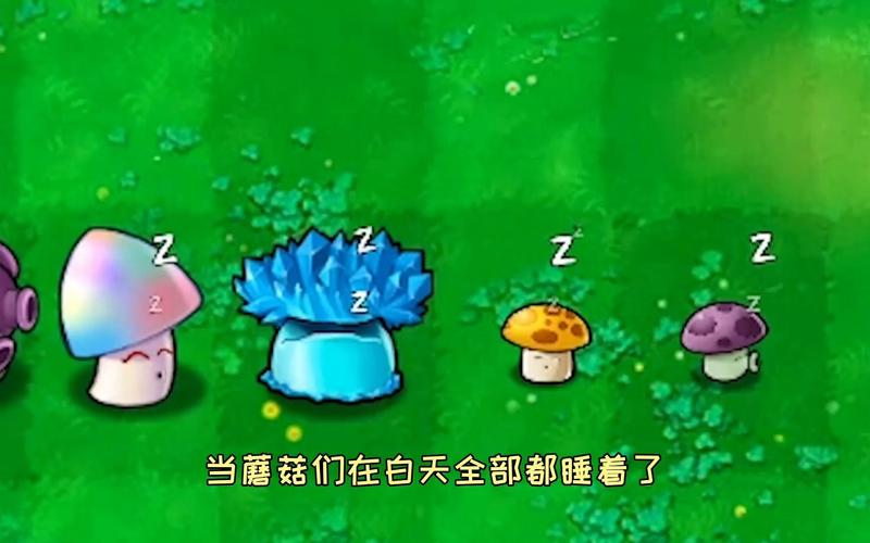 植物大战僵尸相关图片_植物大战僵尸图片介绍-第2张图片-屿企游戏网