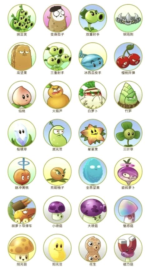 植物大战僵尸2植物大全图片，植物大战僵尸2图鉴植物大全-第4张图片-屿企游戏网