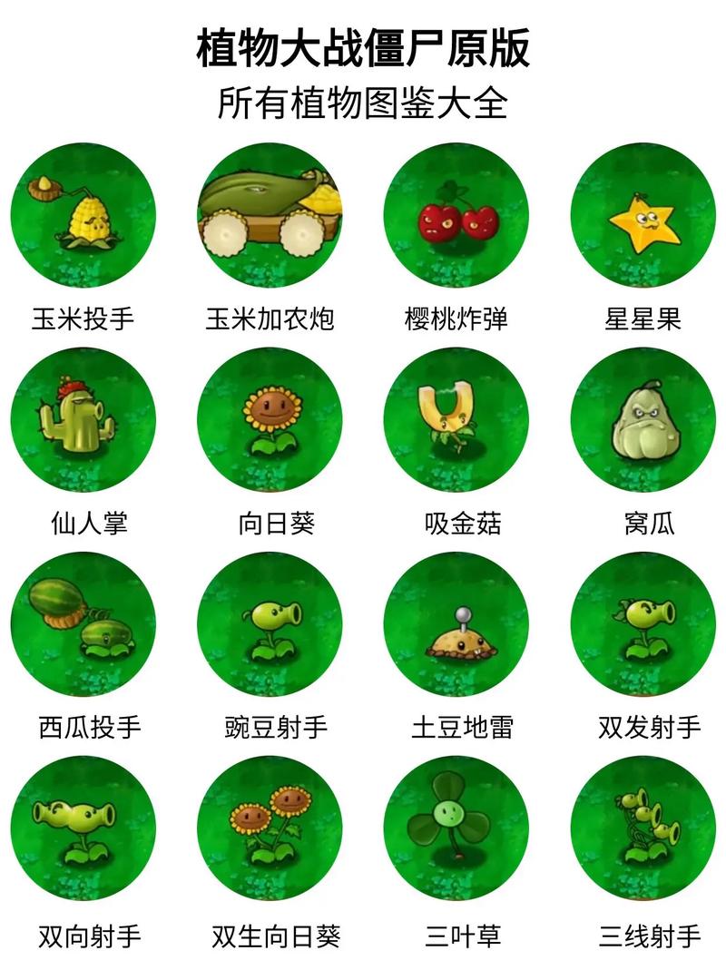 植物大战僵尸植物名称，植物大战僵尸二花园战争-第4张图片-屿企游戏网