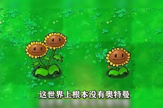 植物大战僵尸双头向日葵，植物大战僵尸双头向日葵怎么种-第2张图片-屿企游戏网