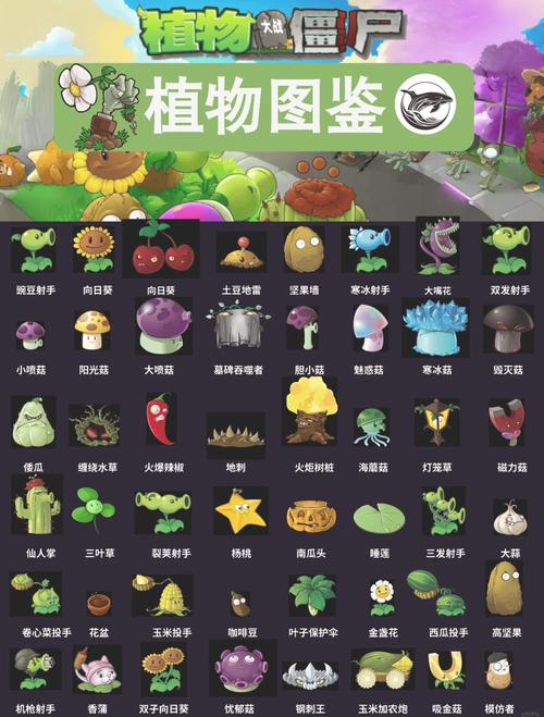 植物大战僵尸都有什么植物_植物大战僵尸都有什么植物圆形里面有植物图片-第4张图片-屿企游戏网