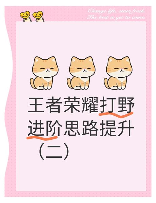 王者荣耀单排攻略视频全集-王者单排思路-第4张图片-屿企游戏网