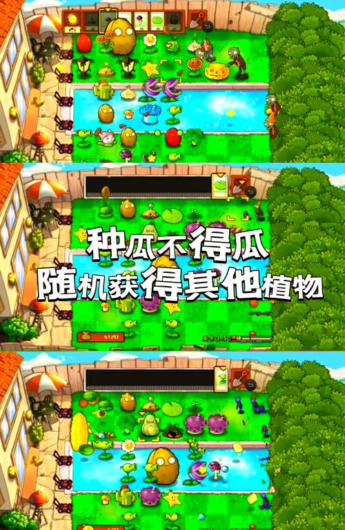 植物大战僵尸植物大战植_植物大战僵尸植物大战植物大战僵尸-第3张图片-屿企游戏网