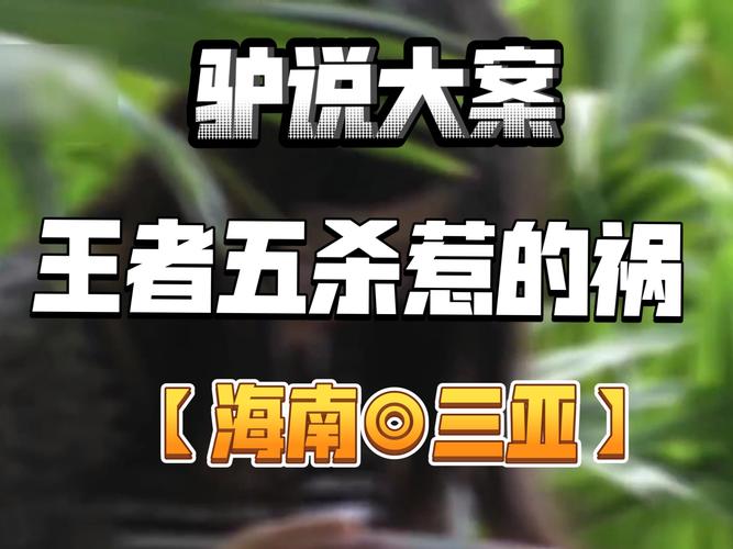 王者荣耀凶手竞猜全集攻略_王者荣耀2020竞猜-第3张图片-屿企游戏网