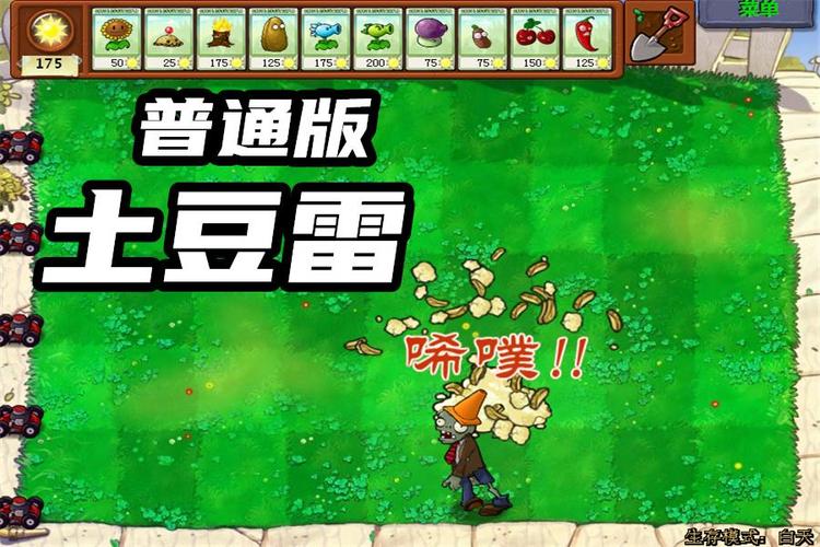 植物大战僵尸高坚果-植物大战僵尸高坚果和坚果血量-第2张图片-屿企游戏网