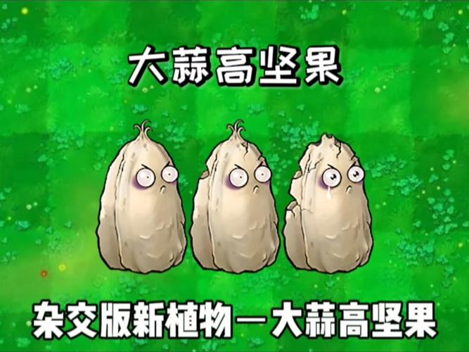 植物大战僵尸高坚果-植物大战僵尸高坚果和坚果血量-第3张图片-屿企游戏网