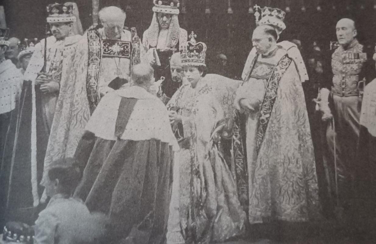 龙之谷手游魔兽世界攻略-魔兽龙之谷s级宠物怎么出