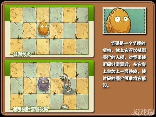 植物大战僵尸坚果包扎术怎么用_植物大战僵尸坚果包扎术图片-第6张图片-屿企游戏网