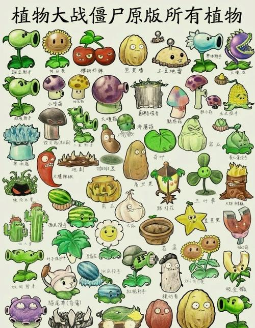 植物大战僵尸植物图片大全_植物大战僵尸植物图片大全 图案-第2张图片-屿企游戏网
