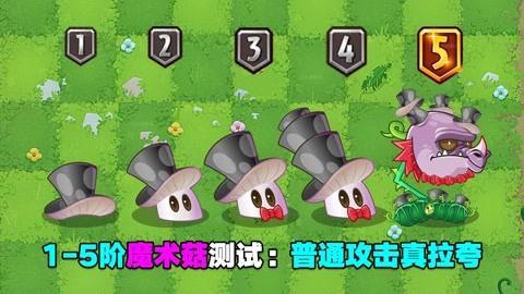 植物大战僵尸2魔术菇怎么得_植物大战僵尸2魔术蘑菇-第3张图片-屿企游戏网