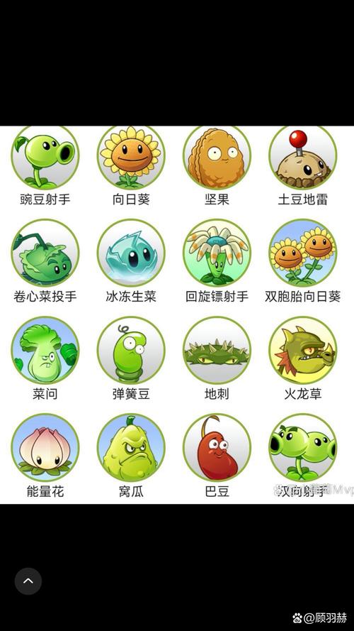 植物大战僵尸里面的植物_僵尸大战植物-第4张图片-屿企游戏网