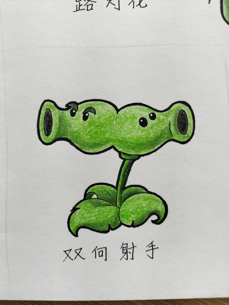 植物大战僵尸豌豆射手图片，植物大战僵尸豌豆射手图片 简笔画-第2张图片-屿企游戏网