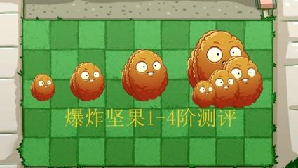 植物大战僵尸2坚果包扎术怎么用_植物大战僵尸2坚果包扎术怎么获得-第4张图片-屿企游戏网 植物大战僵尸2坚果包扎术怎么用_植物大战僵尸2坚果包扎术怎么获得-第4张图片-屿企游戏网