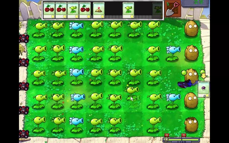 植物大战僵尸4-4_植物大战僵尸44图片