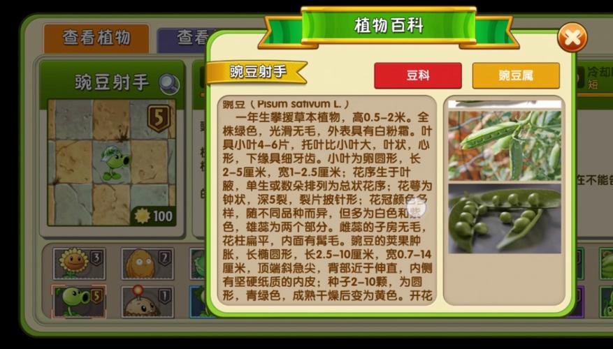 植物大战僵尸2强力植物-植物大战僵尸2强力植物推荐-第4张图片-屿企游戏网